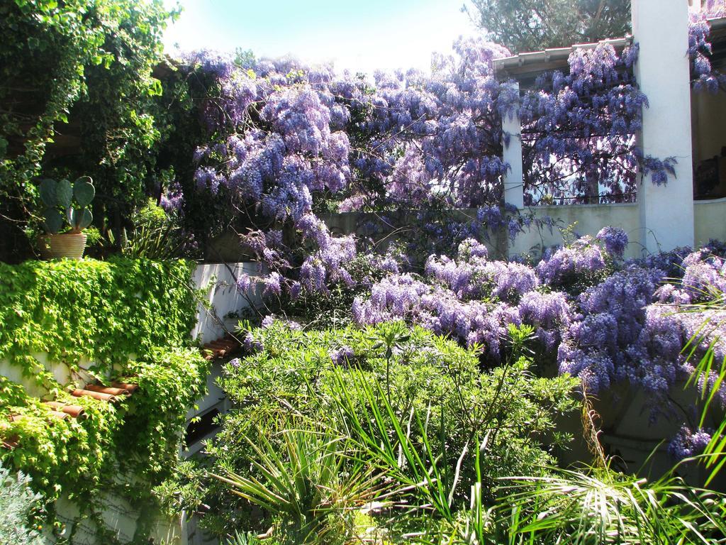 B&B La Salamandra Kitchengarden Forio  Luaran gambar