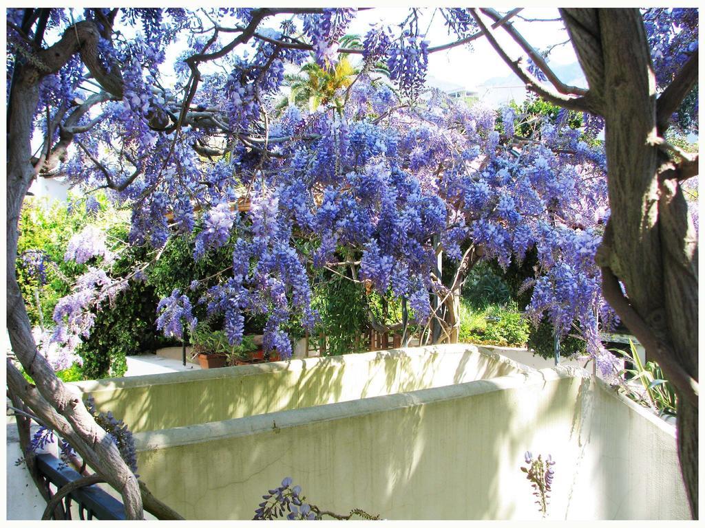B&B La Salamandra Kitchengarden Forio  Luaran gambar