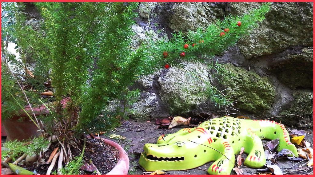 B&B La Salamandra Kitchengarden Forio  Luaran gambar