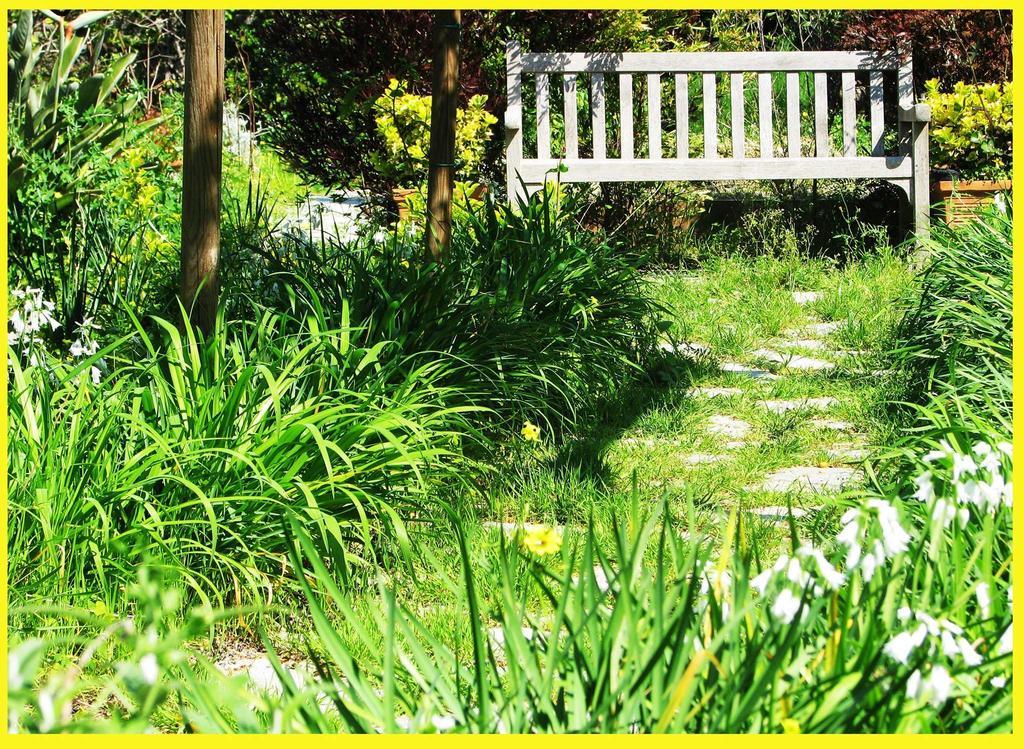 B&B La Salamandra Kitchengarden Forio  Luaran gambar