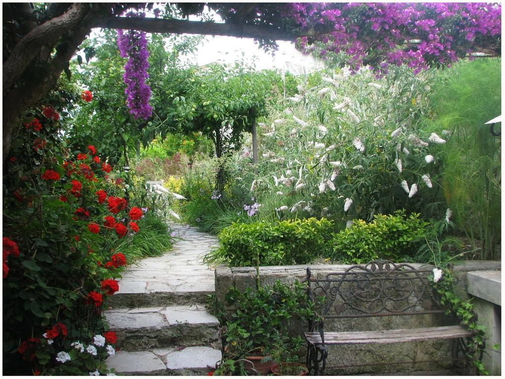B&B La Salamandra Kitchengarden Forio  Luaran gambar