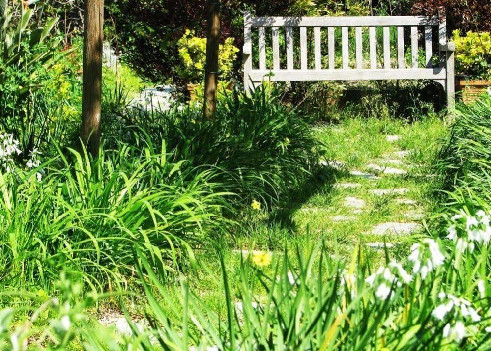 B&B La Salamandra Kitchengarden Forio  Luaran gambar